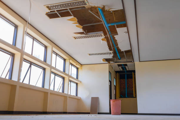 Best Basement water damage restoration  in Ord, NE