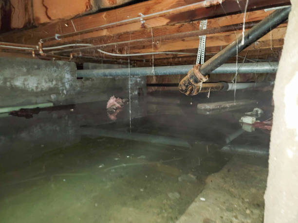 Best Fire Damage Restoration  in Ord, NE