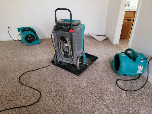 Best Water damage restoration experts  in Ord, NE