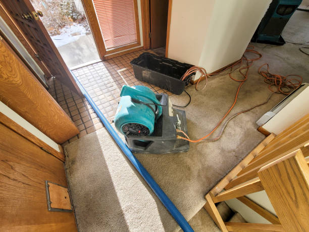 Professional Water damage restoration in NE