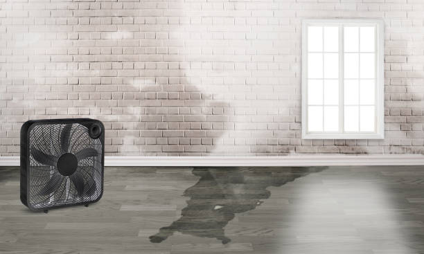 Best Sewage cleanup and water damage restoration  in Ord, NE