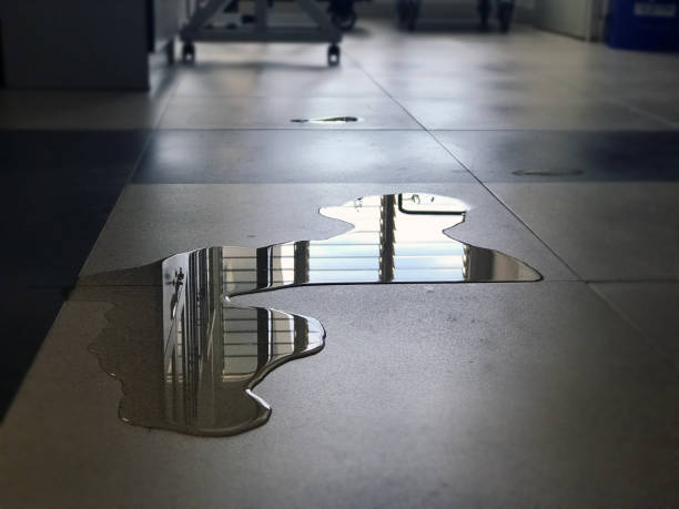 Best Sewage cleanup and water damage restoration  in Ord, NE