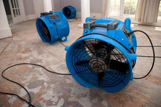 Best 24-hour water damage restoration  in Ord, NE