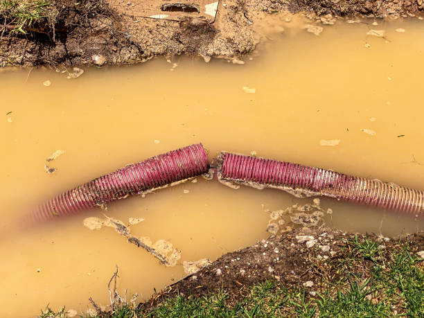 Best Carpet water damage restoration  in Ord, NE